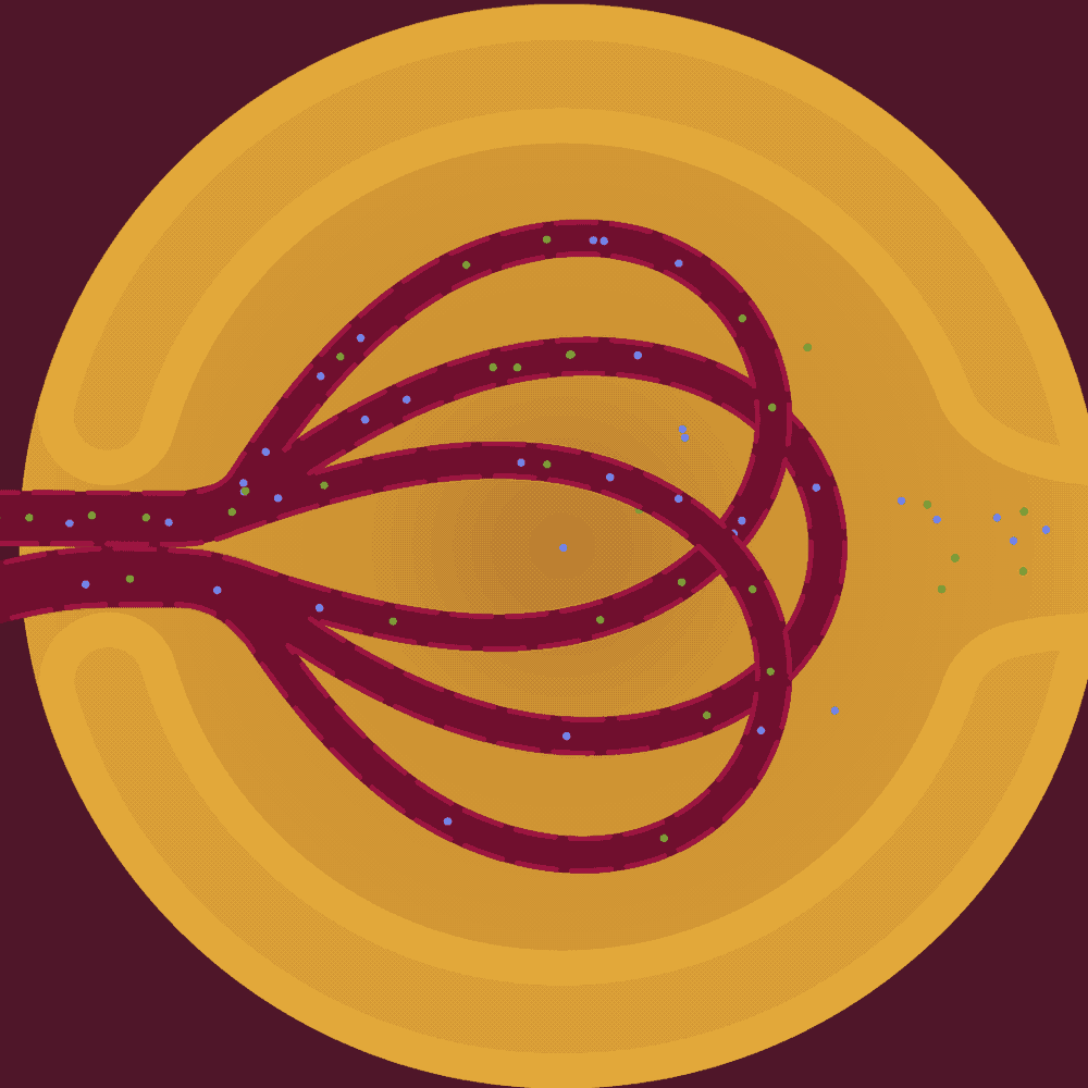 Explanimated by Megan Friesth